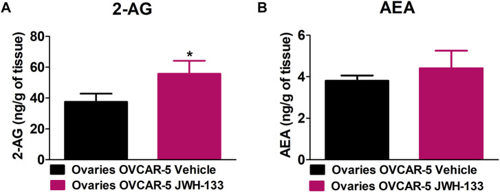 Increase in 2-arachidonoyl glycerol (2-AG) levels but not in anandamide (AEA) levels in the ovaries of SCID-SHO female mice with OVCAR-5 ectopic xenograft tumors receiving chronic systemic administration of JWH-133. JWH-133 (1 mg/kg i.p.) chronic administration for 30 days starting on day 30 of tumor growth produced an increase in 2-AG (A) levels in the ovaries of OVCAR-5 ectopic xenograft female mice relative to the vehicle treated group. No changes in AEA (B) levels were observed following chronic administration of JWH-133 relative to vehicle-treated group in the ovaries of OVCAR-5 ectopic xenograft female mice. Symbols represent the means ± SEM. (ovaries of OVCAR-5 tumor in SCID-SHO female mice receiving vehicle, n = 4-6 SCID-SHO females; ovaries of OVCAR-5 tumor in SCID-SHO female mice receiving JWH-133, n = 6 SCID-SHO females). *p < 0.0386 unpaired t-test (t11 = 1.950, one-tailed).