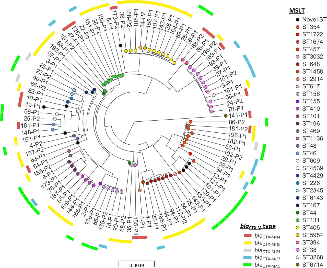 Phylogeny of study Escherichia coli isolates. Interactive map of geographic locations and genetic attributes can be visualised at: https://microreact.org/project/By8bf5ajg