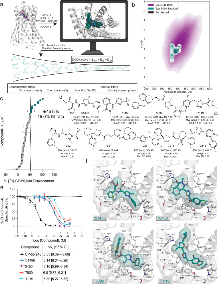 Docking of a 74-million molecule library against the CB1R.a Workflow of the docking campaign. b Overlap of physical properties of CB1R ligands versus the top docked and purchased ligands. c Single-point radioligand displacement data for the 46 tested compounds. d 2D structures and properties of the nine hits. e Secondary binding assay for the top four hits. f Docked poses of the top four hits with H-bonds and other binding pocket residues indicated. Data in c & e represent mean ± SEM from three independent experiments in triplicate. Created in BioRender. Stevens, J. (2025). https://BioRender.com/b34k743.