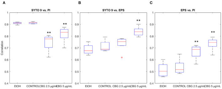 Signal correlation. (A) SYTO 9 vs. PI signal intensities correlation. (B) SYTO 9 vs. EPS signal intensities correlation. (C) SYTO 9 vs. PI signal intensities correlation. Two-tailed t-test was performed. **p < 0.01.