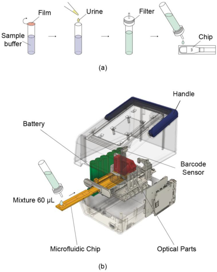 Schematic illustration of the portable reader and its usage procedure. (a) Sample pretreatment process. Urine is mixed with the buffer contained in the tube at a 1:10 ratio. A dropper cap with a built-in filter is then attached, and the mixture is loaded onto the chip. (b) Schematic of the device operation. A 60 μL mixture is loaded onto the chip, which is then reacted inside the device for 4 min. Fluorescence is measured via the built-in optical parts, and the concentration is determined accordingly.