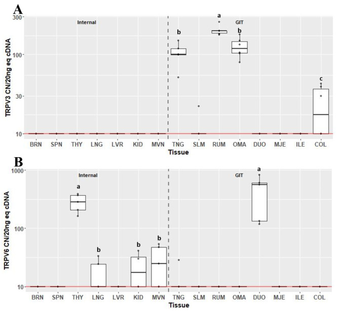 Gene expression of transient receptor potential vanilloids TRPV3 (A) and TRPV6 (B) in internal organ and gastrointestinal tissues (GIT). Data are presented as median transcript copy number (CN) per 20 ng of equivalent cDNA. Abbreviations BRN = brain, SPN = spleen, THY = thyroid, LNG = lung, LVR = liver, KID = kidney, MVN = mesenteric vein, TNG = tongue, SLM = sublingual mucosa, RUM = rumen, OMA = omasum, DUO = duodenum, MJE = mid-jejunum, ILE = ileum, COL = colon. Unique letters between tissues indicate significance (P < 0.05)