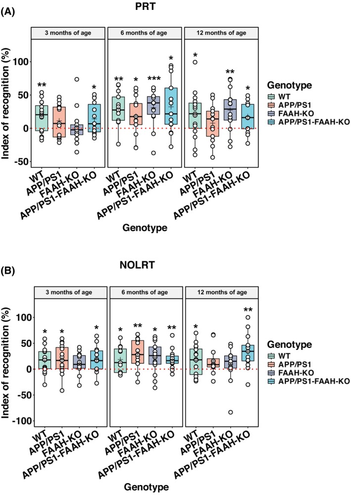 Effect of FAAH genetic deletion on the progression of memory deficits in APP/PS1 mice. (A) Partner recognition test (PRT) and (B) novel object location recognition test (NOLRT) were assessed across different age groups (i.e., 3‐, 6‐, and 12‐month) and genotypes (wild‐type (WT), APP/PS1, FAAH‐knockout (KO), APP/PS1‐FAAH‐KO). The dashed line indicates the chance level. The central line in each boxplot corresponds to the median (quartile 2, Q2), the plus symbol denotes the mean, and the box edges represent the 25th (Q1) and 75th (Q3) percentiles. Whiskers extend to the most extreme data points within 1.5 times the interquartile range from the box. Asterisks represent statistical differences when compared to chance level (*P < 0.05; **P < 0.01; ***P < 0.001) using a one‐sample t‐test. PRT 3 months: n = 16 WT mice; n = 15 APP/PS1 mice; n = 13 FAAH‐KO mice; n = 14 APP/PS1‐FAAH‐KO mice; PRT 6 months: n = 13 WT mice; n = 13 APP/PS1 mice; n = 14 FAAH‐KO mice; n = 13 APP/PS1‐FAAH‐KO mice; PRT 12 months: n = 15 WT mice; n = 13 APP/PS1 mice; n = 14 FAAH‐KO mice; n = 13 APP/PS1‐FAAH‐KO mice; NOLRT 3 months: n = 15 WT mice; n = 15 APP/PS1 mice; n = 13 FAAH‐KO mice; n = 13 APP/PS1‐FAAH‐KO mice; NOLRT 6 months: n = 11 WT mice; n = 14 APP/PS1 mice; n = 13 FAAH‐KO mice; n = 13 APP/PS1‐FAAH‐KO mice; NOLRT 12 months: n = 16 WT mice; n = 12 APP/PS1 mice; n = 13 FAAH‐KO mice; n = 13 APP/PS1‐FAAH‐KO mice.