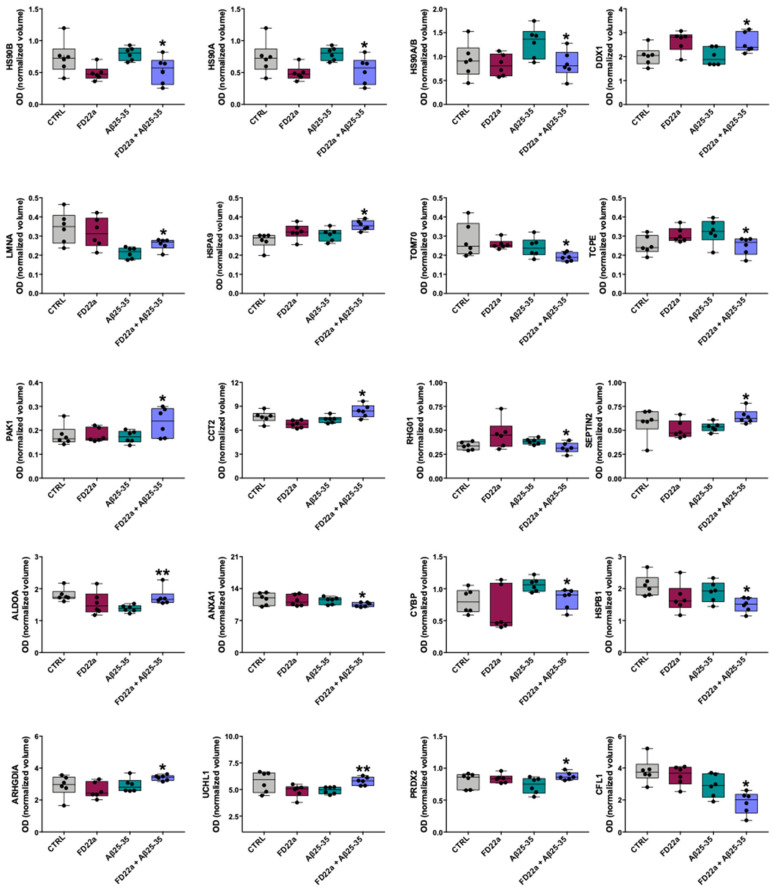 Box plots of proteins found differentially expressed in the comparison FD22a + Aβ25–35 vs. Aβ25–35. The optical density (OD) of normalized spot volume of the six biological replicates is shown for different conditions (control, FD22a, Aβ25–35, FD22a + Aβ25–35). Data were analyzed by Mann–Whitney test. * p < 0.05, ** p < 0.01, with respect to Aβ25–35.