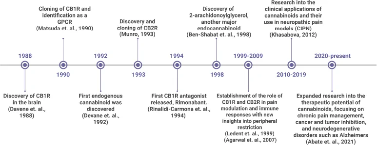 Timeline of key discoveries in cannabinoid researchTimeline illustrating the significant discoveries in cannabinoid research. Created with BioRender.com. CB1R: Cannabinoid receptor 1; CB2R: cannabinoid receptor 2; CIPN: chemotherapy-induced peripheral neuropathy; GPCR: G protein-coupled receptors.