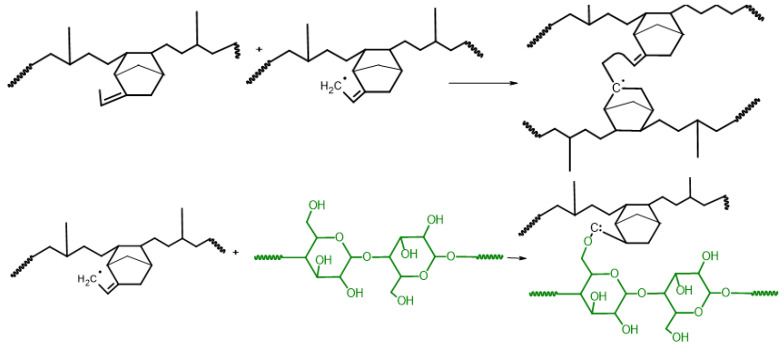 Proposed mechanism for peroxide crosslinking and grafting of EPDM/hemp composites. The addition reactions form macroradicals.