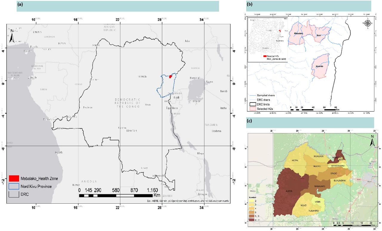 Geographic regions in the North Kivu Province, Democratic Republic of the Congo showing (a) location of the Mabalako health zone in Nord-Kivu Province in the Democratic Republic of Congo, (b) the limitation of the Mabalako Health Zone (HZ) and (c) the different health areas of the Mabalako HZ where the Female genital schistosomiasis surveys were carried out.
