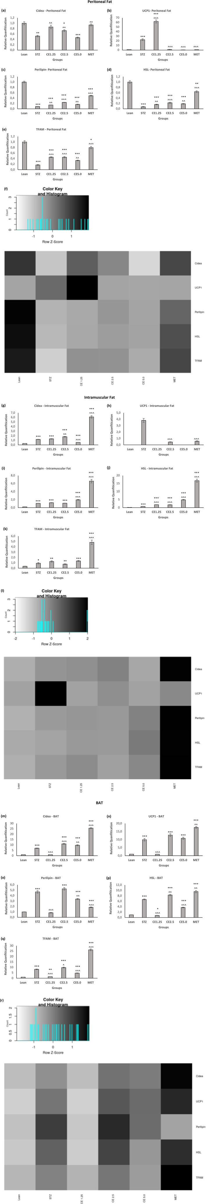 Gene expression levels of selected marker across Peritoneal, Intramuscular and BAT. The relative gene expression level of Cidea (a, g, m), UCP1 (b,h,n), Perilipin (c,i,o), HSL (d,j,p) and TFAM (e, k, q) across Peritoneal, Intramuscular, and BAT respectively. Error bars represent ± standard error of mean (n = 6–7). *p < 0.05, **p < 0.01, ***p < 0.001 relative to Lean and ^p < 0.05, ^^p < 0.01, ^^^p < 0.001 relative to STZ. Heatmaps for (f) peritoneal, (l) intramuscular and (q) BAT were generated using the shiny heatmap software. Light (white) block represents a low value while a dark box (black) represents a high value