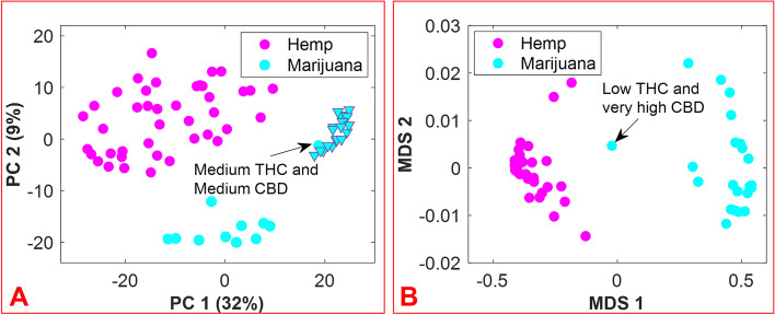 2D score plot resulting from PCA of hemp and marijuana sample spectra (panel A); 2D score plot of multidimensional scaling (MDS) analysis of the proximity matrix resulting from the application of supervised random forest (panel B). The magenta and cyan colors represent hemp and marijuana, respectively. The cyan triangles show the subset of recreational marijuana samples