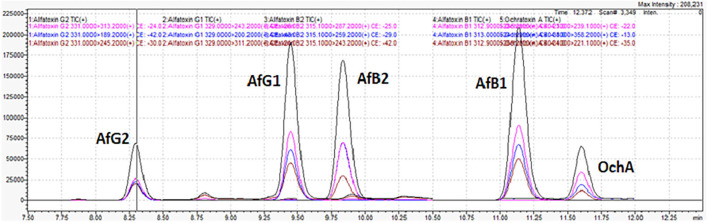 Chromatogram of cannabis extract obtained from cannabis floss spiked with MRL for aflatoxins (2 μg/kg) and ochratoxin A (20 μg/kg).