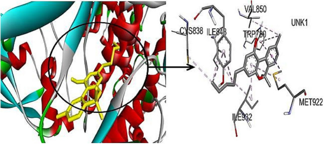 3D visualization of P13K-Cannabinol