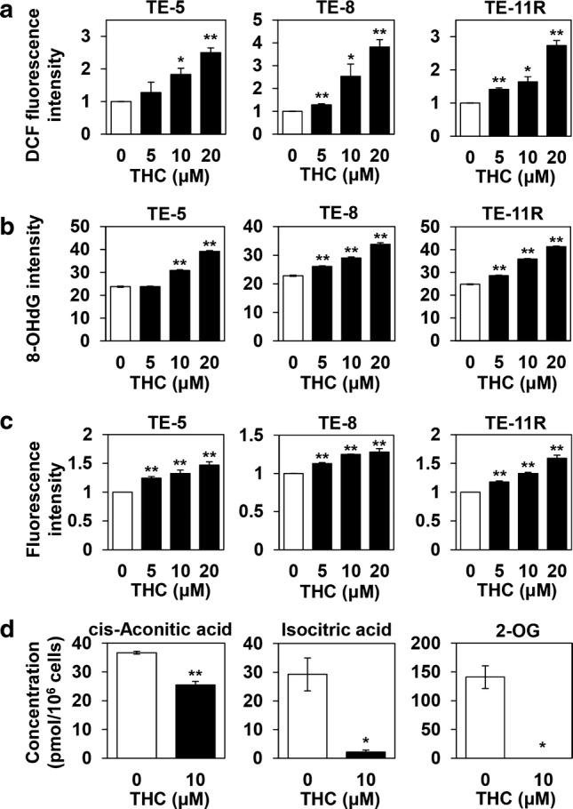 Theracurmin®-mediated oxidative damage in ESCC cells. a ROS production: ESCC cells were cultured with the indicated concentrations (0–20 μM) of Theracurmin® (THC) for 1 h. Intracellular ROS levels were measured using the DCF assay. Relative DCF fluorescence intensity of each cell treated with the indicated concentrations of THC relative to that of untreated cells is indicated (*P < 0.05, **P < 0.01, vs untreated cells; n = 3). b Oxidative DNA damage: ESCC cells were cultured with the indicated concentrations (0–20 μM) of THC for 24 h. Oxidative DNA damage was measured by the intensity of immunofluorescent staining of 8-OHdG (**P < 0.01, vs untreated cells; n = 3). c Mitochondrial ROS levels: ESCC cells were cultured with the indicated concentrations (0–20 μM) of THC for 1 h. Mitochondrial ROS level was measured. Relative fluorescence intensity of each cell type treated with the indicated concentrations of THC relative to that of untreated cells is indicated (**P < 0.01, vs untreated cells; n = 3). d Metabolite analysis: TE-5 cells were cultured with THC (10 μM) for 8 h. The amounts of cis-aconitic acid, isocitric acid, and 2-OG were measured (*P < 0.05, **P < 0.01, vs untreated cells; n = 3)