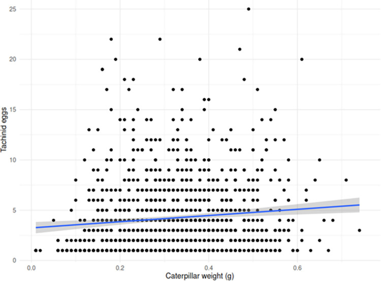 Relationship between the caterpillar body mass and the number of tachinid eggs.The blue line indicates the linear regression model.