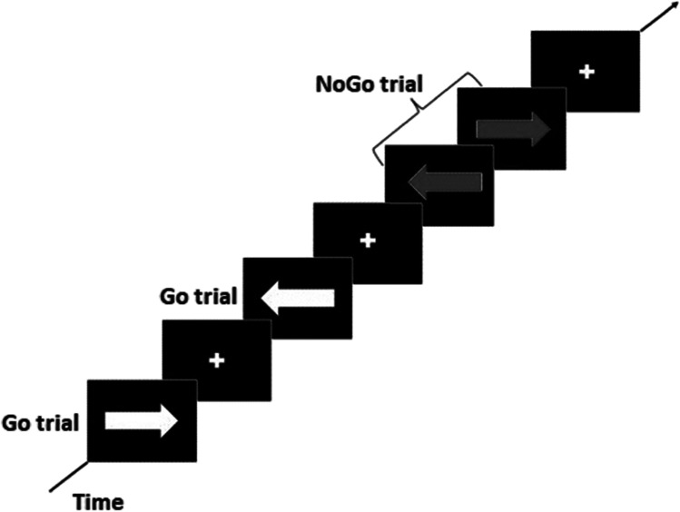 Schematic display of the Go NoGo task paradigm (Gan et al., 2014)