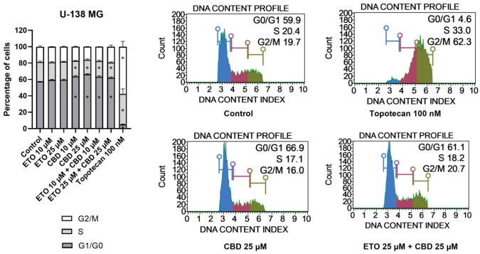 The impact of ETO, CBD, and their combination on cell-cycle distribution in the U-138 MG cell line: The percentages of cells in the G1/G0, S, and G2/M phases were analyzed by flow cytometry after staining with propidium iodide and RNase A. Topotecan was used as a positive control in this assay. The values on the bar chart are shown as the mean ± SEM calculated from three independent experiments; (*) indicates statistically significant differences from the control group for a particular phase, with p < 0.05. Representative histograms of the DMSO-treated cells (designated as ‘Control’) and topotecan (positive control), as well as the two most active compounds/combinations, are shown on the right-hand side of the bar chart. The histograms are color-coded by cell-cycle phase: blue indicates G0/G1, purple represents S phase, and green shows G2/M phases.