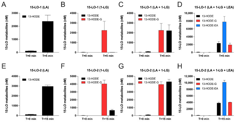 Metabolism of 1-LG, LA and LEA by human recombinant 15-LO-1 and 15-LO-2. Human recombinant 15-LO-1 (A–D) or 15-LO-2 (E–H) were incubated at 37 °C in HEPES 25 mM containing 0.01% triton. A total of 10 μM of LA (A,D,E,H); 1-LG (B,D,F,H) or LEA (D,H) were added for 5 min (15-LO-1) or 15 min (15-LO-2). NaBH4 was then added for 5 min and incubations were stopped by the addition of 0.5 mL of cold (−20 °C) MeOH containing 0.01% acetic acid and the internal standards. Samples then were processed for LC-MS/MS analyses as described in methods. Results are the mean (±SEM) of 3 independent experiments.