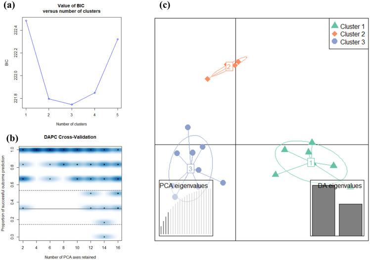DAPC for 23 cannabis genotypes.(a) The x-axis is the number of clusters k and the y-axis is the corresponding value of BIC. (b) The plot of DAPC cross-validation. The x-axis is the number of PCA axes retained for DAPC, and the y-axis is the proportion of successful outcome prediction. Individual replicates appear as points, and the density of those points in different regions of the plot is displayed in blue. (c) DAPC plot for 23 cannabis genotypes along two linear discriminants (LD 1 and LD 2).