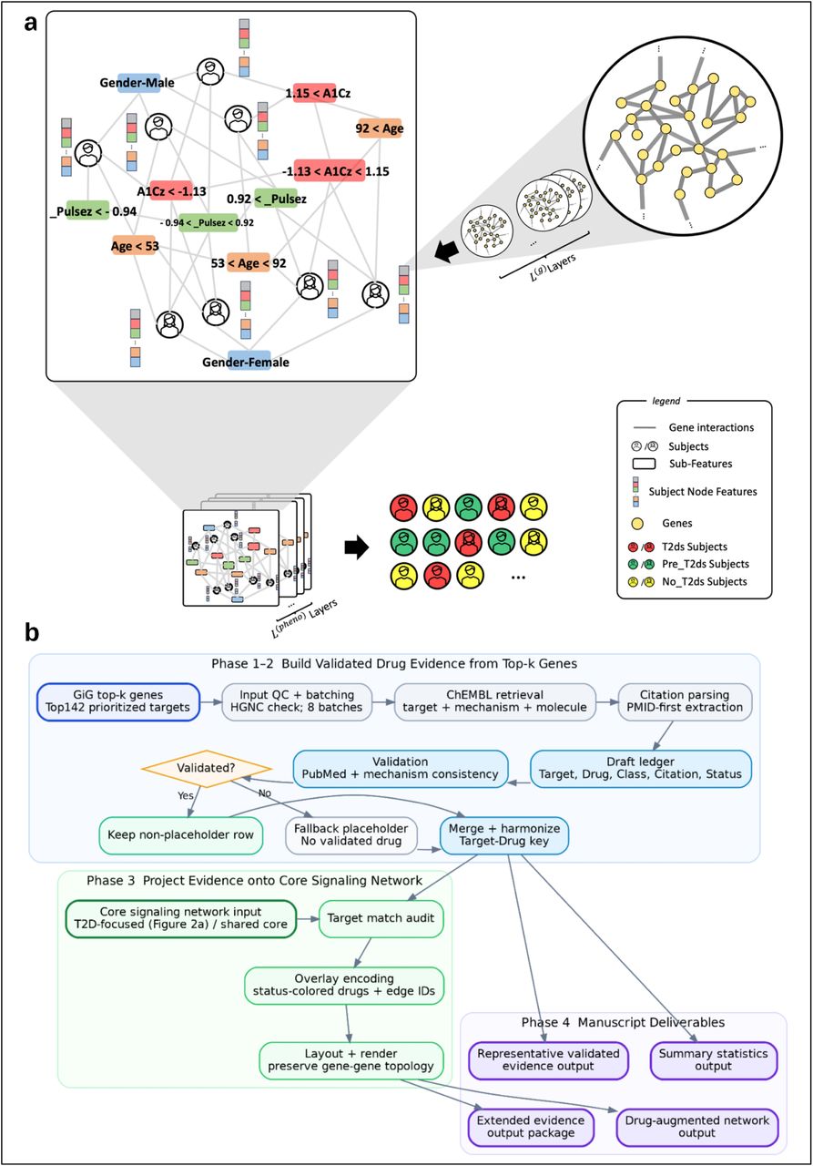 a. Overview of the GiG Model Architecture for T2D Risk Stratification. b. Workflow for post-GiG drug-evidence augmentation. GiG top-k genes undergo ChEMBL retrieval, PMID-first parsing, and PubMed/mechanism validation, then are harmonized into a target-drug evidence key, projected onto the core signaling network, and reported as summary statistics, representative validated evidence, a drug-augmented network, and an extended evidence package.