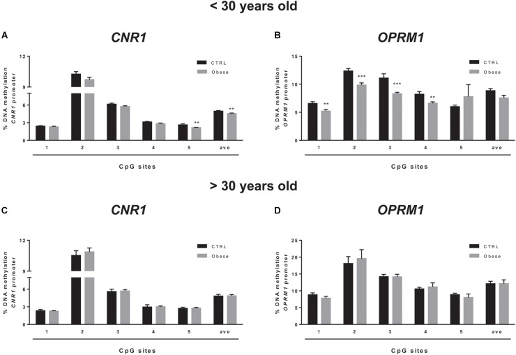 Comparison of DNA methylation status at human CNR1 (A,C) and OPRM1 (B,D) promoters in the obese population and control (CTRL) subjects stratified based on age (A,B = < 30 years old; C,D > 30 years old). The bars represent the mean of the % of methylation values of individual CpG sites under study as well as of the average (ave) of the CpG sites ± the SEM. Significant differences are indicated: ∗∗P < 0.01; ∗∗∗P < 0.001 vs. CTRL.