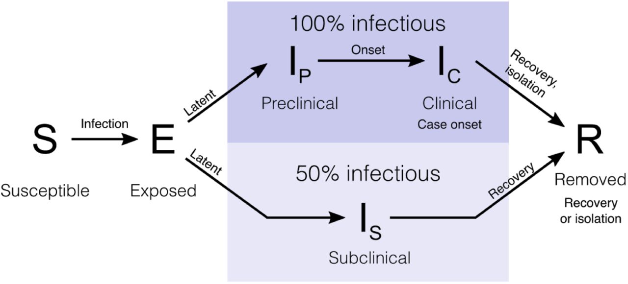 State transitions in the model.Individuals in the stochastic compartmental model are classified into susceptible, exposed, infectious (preclinical, clinical, or subclinical), and recovered states. The model is stratified into 5-year age bands and epidemics are simulated in the 186 county-level administrative units of the UK.