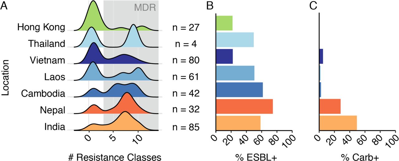Prevalence of antimicrobial resistance determinants among K. pneumoniae sensu stricto isolates.A) Density plots showing the distributions of number of drug classes for which acquired resistance determinants were detected in each genome (n = total genomes by location). Grey shading indicates multi-drug resistance (≥3 resistance classes). B) Proportion of genomes for which extended-spectrum beta-lactamase genes were detected (% ESBL+). C) Proportion of genomes for which carbapenemase genes were detected (% Carb+).