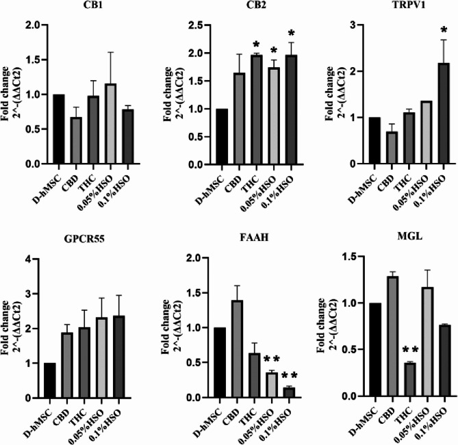 Gene expression. Quantitative RT-PCR was used to measure mRNA levels of endocannabinoid system receptors and enzymes (CB1, CB2, TRPV1, GPCR55, FAAH, and MGL) after culturing in adipose differentiation media for 72h; then, 72h with treatments (CBD, THC, 0.05% HSO, or 0.1% HSO), and finally, maintenance media until day 14th. The biological experiments data presented as mean and standard deviation (SD) of quadruplicate technical replicates (n=4) were used to represent all data (mean ± SD), are shown; ANOVA as *p ≤0.05, ** P ≤0.01, *** P≤0.001