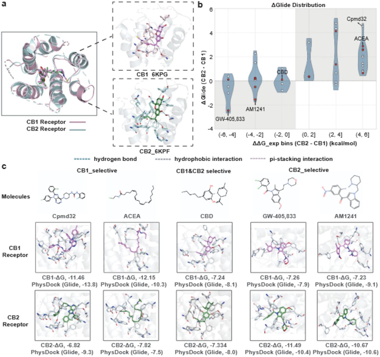 Comparative analysis of cannabinoid receptor selectivity across diverse compounds. (a) Overlay of CB1 (PDB: 6KPG) and CB2 (PDB: 6KPF) receptor structures showing their ground-truth ligand binding modes, with key interacting residues highlighted. (b) Glide score difference for all compounds docked to CB1 and CB2 receptors using PhysDock (ΔGlide = CB2 − CB1) plotted against their experimental binding free energy difference (ΔΔGexp), with representative drug molecules highlighted in red. (c) Docking poses and 2D structures of six representative compounds bound to CB1 and CB2 receptors, with key interactions labeled.
