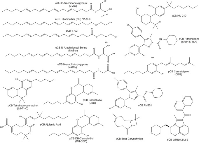 2D-Structures of selected cannabinoids: endogenous cannabinoids (eCB), phytocannabinoids (pCB) and synthetic cannabinoids (sCB).
