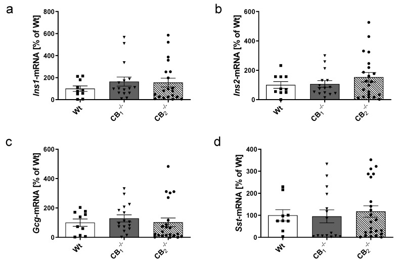 Transcript analysis by real-time RT-PCR of the pancreatic islet hormones (a) insulin 1 (Ins1), (b) insulin 2 (Ins2), (c) glucagon (Gcg), and (d) somatostatin (Sst) in pancreatic tissue of male and female wild-type (Wt) mice and cannabinoid receptor knockout mouse lines (CB1−/−, CB2−/−). No statistically significant differences were measured. The expression level of Wt mice was defined as 100%. Values are presented as mean (±S.E.M.) with n = 9–23 mice per group; unpaired t-test.