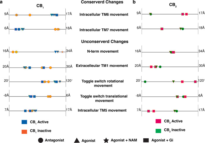 Conversed and unconserved feature movements captured in active and inactive PDB structures for CB1 and CB2.Distance and angle feature values that undergo conformational changes during the activation for CB1 (a) and CB2 (b) are shown as scatter points on 1-D line. Markers are colored based on the activation state of the protein (CB1 active: blue, CB1 inactive: orange, CB2 active: magenta, CB2 inactive: green). The shape of the marker is based on the type of the ligand and downstream signaling partner (Antagonist bound: circle, Agonist bound: triangle, Agonist and NAM bound: star, Agonist and G protein bound: rectangle). PDB structures of a receptor with same binding partner and activation state are distinguished with different outline color of the marker.