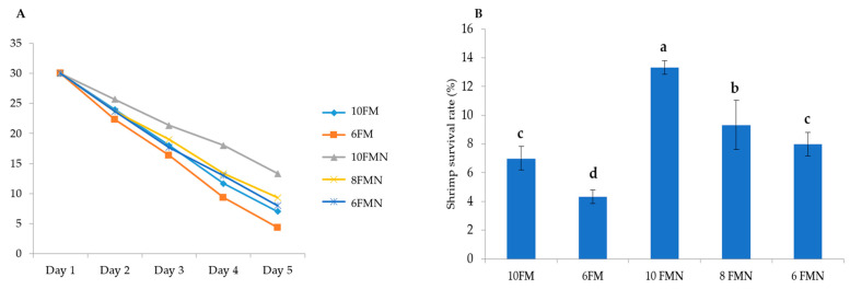 (A) Evolution of mean survival rate in Pacific white shrimp (PWS) over time in each study group after challenge test with Vibrio harveyi infection at dose of 1 × 105 CFU mL−1, intramuscularly; (B) mean survival rate at the end of the challenge test. Different letters indicate statistically significant differences (p < 0.05) between the study groups. 10FM (control group; 10% FM), 6FM (6% FM and no nucleotide supplementation), 10FMN (10% FM; 0.1% nucleotides), 8FMN (8% FM; 0.1% nucleotides) and 6FMN (6% FM; 0.1% nucleotides).