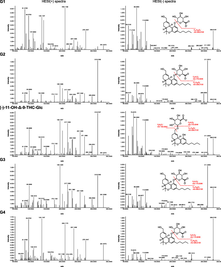 MS-2 spectra (m/z 50 to m/z 350) of the five OH-THC-Glc with m/z 507 in HESI positive mode and m/z 505 in HESI negative mode; proposed fragmentation pattern are indicated for differentiation of phenolic or alcoholic glucuronides
