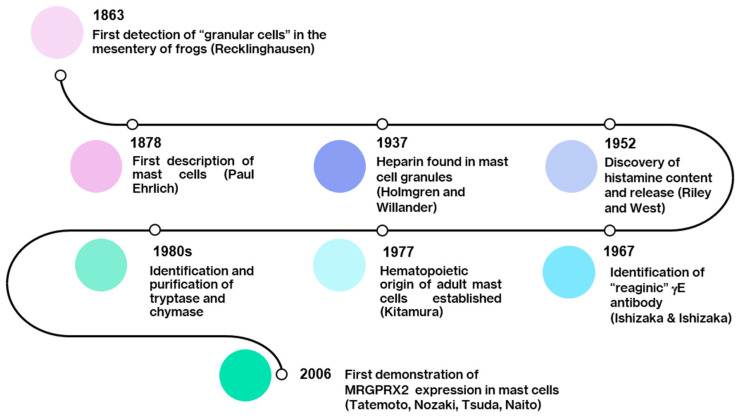 Timeline of main historical events of mast cell research.