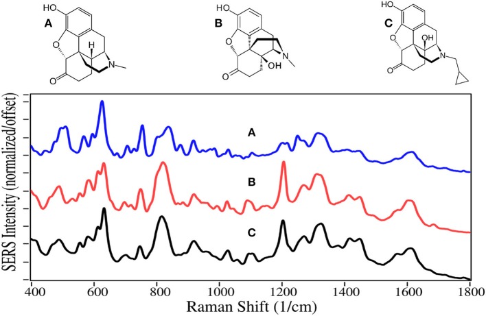 Structures and 100 ppm SERS of (A) hydromorphone, (B) oxymorphone, and (C) naltrexone.