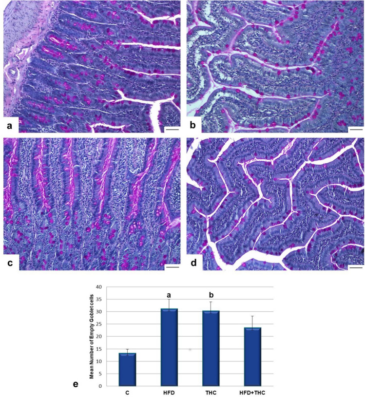 a-d: The increase in mucus secretion was observed with the PAS reaction in the experimental groups. Histological image of the C group (a), HFD group (b), THC group (c), and HFD + THC group (d). PAS + H. e: Numbers of empty goblet cells in the groups. a,bp < 0.01 vs. the C group. The bar scale size = 50 µm