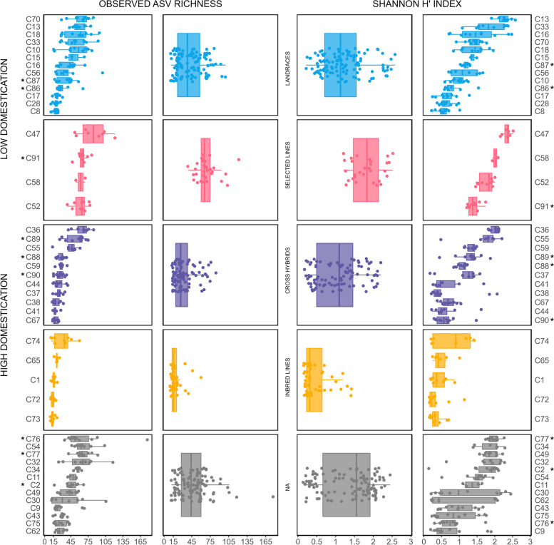Observed amplicon sequence variants (ASVs) richness and Shannon H′ index were used to assess seed microbiome diversity within and across Cannabis genotypes and domestication grades. Genotypes with THC content > 0.3% are marked with *. Significant differences were found for both observed ASV richness and Shannon H′ index (P ≤ 0.001, Kruskal–Wallis)