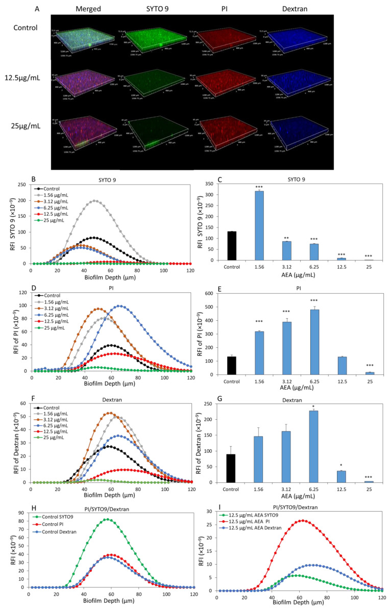 AEA reduces the biofilm mass as well as EPS production of S. mutans. (A) S. mutans biofilms were incubated in the absence or presence of various concentrations of AEA and 0.05% ethanol for 24 h and then stained with Alexafluor647 -conjugated anionic Dextran 10,000, SYTO 9 and PI for 30 min. The images were captured by a spinning disk confocal microscope (SCDM). (B,D,F) The relative fluorescence intensities (RFI) of SYTO 9 (B), PI (D) and Dextran (F) in each biofilm layer captured at intervals of 2.5 µm. (C,E,G) Quantifications of the areas under the curves for the three stains. (H,I) The relative fluorescence intensities of PI/SYTO 9/Dextran in the biofilms of control (H) and 12.5 µg/mL AEA-treated samples (I). n = 3; * p < 0.05, ** p < 0.01, *** p < 0.001.