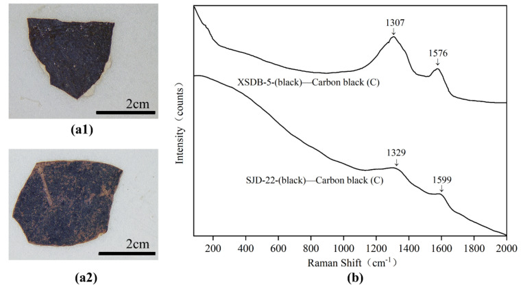 Digital microscopy (DM) of black samples (a1) SJD-2; (a2) XSBD-5 and Micro-Raman spectroscopy (b) SJD-2; XSBD-5.