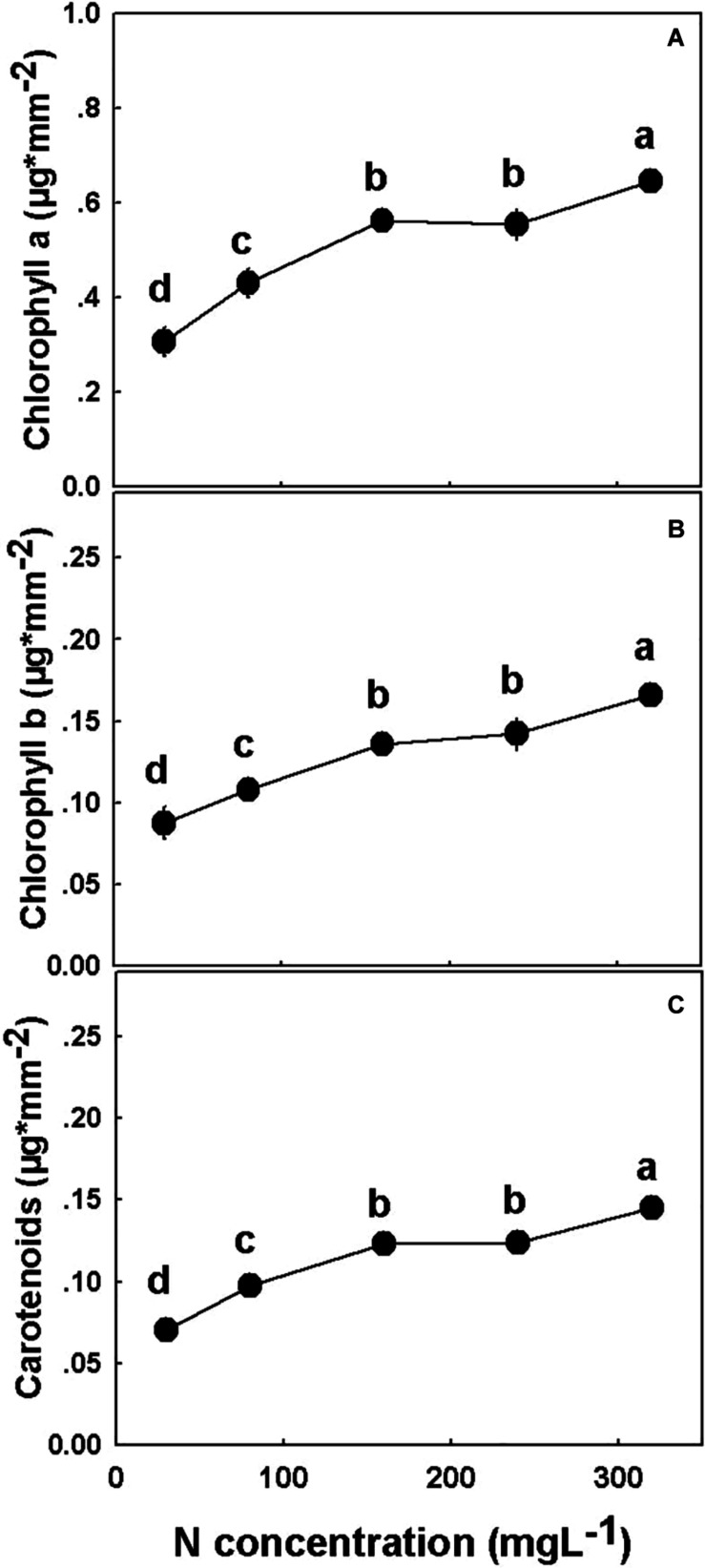 Effect of N application on the concentration of photosynthetic pigments in cannabis. Chlorophyll a (A), chlorophyll b (B), and carotenoids (C). Presented data are averages ± SE (n = 5). Different small letters above the means represent significant differences between treatments by Tukey HSD test at α = 0.05. Where not seen, SEs are smaller than the symbol size.