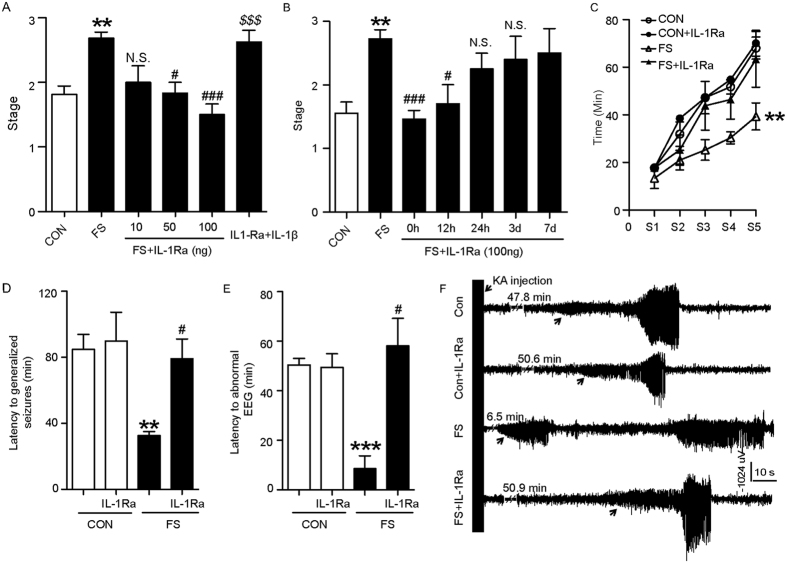 IL-1Ra time-dependently prevents the enhanced seizure susceptibility after prolonged FS.(A,B) Seizure stages induced by MES in rats delivered with different doses of IL-1Ra immediately after prolonged FS (A, three experiments; n = 8 in FS + IL-1Ra groups, n = 7 in control and FS groups), or treated with 100 ng IL-1Ra at different times after prolonged FS (B, three experiments; n = 7–8/group). (C) Seizure progression induced by KA with different treatments (n = 10 in control and FS groups, n = 9 in other groups; Two-way ANOVA with Bonferroni’s post hoc test). Latency to generalized seizures (D) and latency to abnormal EEG (E) in rats after KA injection (n = 10 in control and FS groups, n = 9 in other groups). (F) Representative EEG tracings from rats following KA injection. The arrow indicates the onset of electrographic seizure.**P < 0.01 and ***P < 0.001 compared to control. #P < 0.05, ###P < 0.001 compared to FS group, $$$P < 0.001 compared to FS + IL-1Ra group. One-Way ANOVA with Turkey’s post-hoc test. Error bars indicate S.E.M. H-CON, hyperthermia without seizures. N.S., not significant.