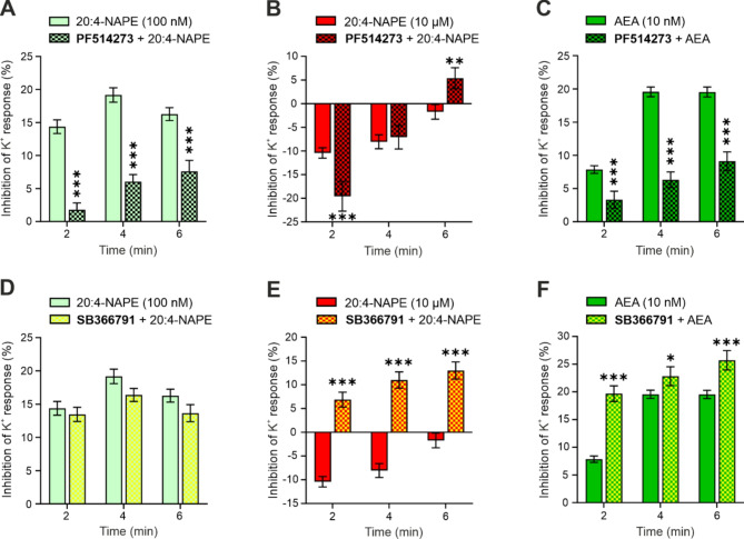 The inhibitory effect of 20:4-NAPE and AEA was mediated by CB1 receptor activation, whereas TRPV1 activation mediated the 20:4-NAPE-induced excitatory effect. (A) The inhibition of K+ responses evoked by 100 nM 20:4-NAPE (n = 206) was prevented by the co-application of the CB1 antagonist PF514273 (n = 121). (B) The excitatory effect of 10 µM 20:4-NAPE (n = 211) was not blocked by PF514273 treatment (n = 96). (C) The inhibitory effect of low 10 nM AEA (n = 263) concentration was prevented by the PF514273 treatment (n = 115). (D) The inhibitory effect induced by the 100 nM 20:4-NAPE (n = 206) application was not altered by the TRPV1 antagonist SB366791 co-application (n = 189). (E) The excitatory effect of 10 µM 20:4-NAPE (n = 211) was prevented by the SB366791 treatment (n = 113). (F) The inhibitory effect of the low 10 nM AEA (n = 263) concentration was enhanced by the SB366791 treatment (n = 120). The statistical analysis was conducted using a t-test, with the following significance levels: ∗ p < 0.05, ∗∗p < 0.01, and ∗∗∗p < 0.001.