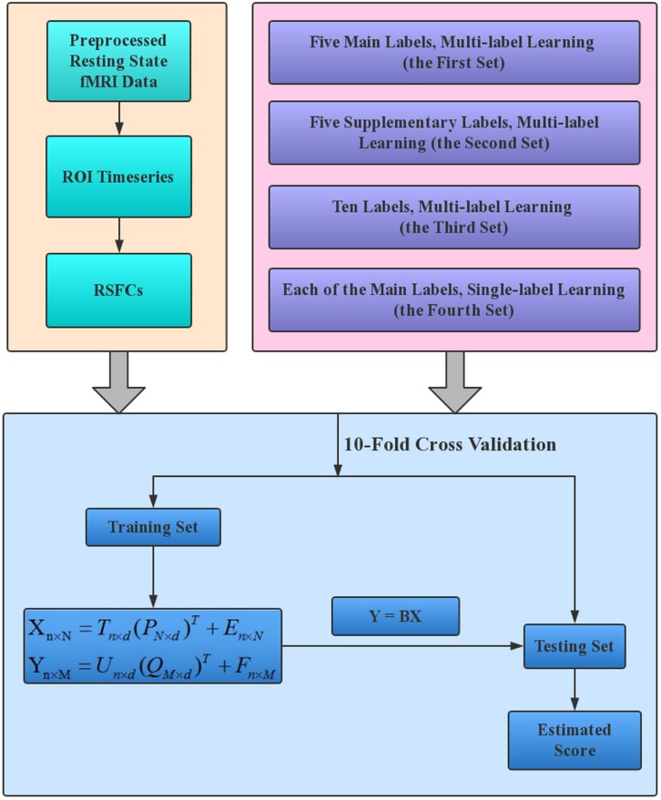The working flowchart of the proposed estimation framework. The resting state fMRI data of HCP 1200S release were analyzed in this study, and RSFCs provided on the HCP website (https://db.humanconnectome.org/) were directly used to establish the estimation models. Each of the four label sets in the upper right box corresponds to one set of estimations.