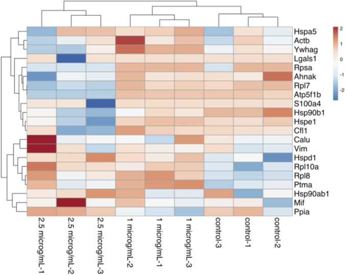 Clustered heatmap visualization displays relative gene expression levels for twenty-one genes in samples treated with different concentrations (two point five and one micrograms per milliliter) and controls, using a color scale from blue (low expression) to red (high expression), with dendrograms showing clustering patterns among genes and samples.