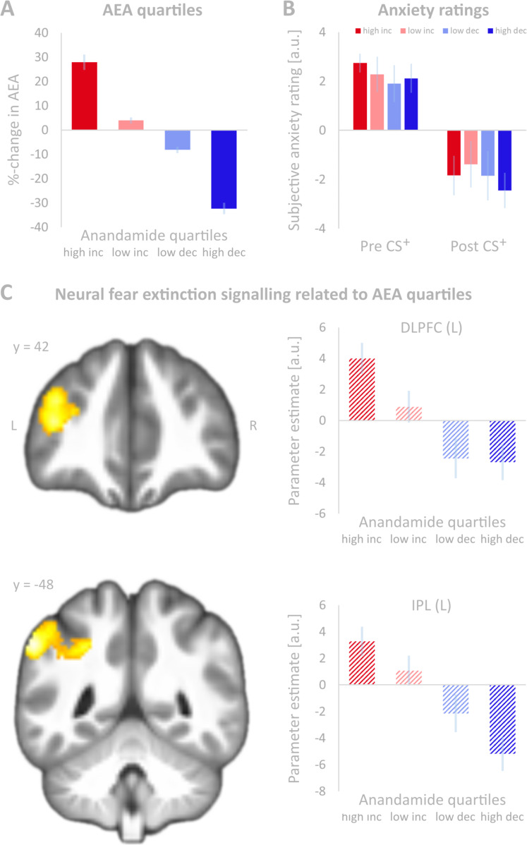 Anandamide (AEA) quartiles, anxiety ratings and neural fear extinction signalling related to AEA quartiles.A Relative changes (in per cent, %) in anandamide (AEA) plasma levels before and after fear extinction (day 2) grouped in quartiles (quartile 1: high increase (n = 13), quartile 2: low increase (n = 13), quartile 3: low decrease (n = 12), quartile 4: high decrease (n = 13)). Error bars denote standard errors of the mean. B Average subjective anxiety ratings before (pre) and after (post) fear extinction (day 2) for the CS+ grouped according to changes in AEA (quartiles 1–4). A rating of 0 indicates no feeling of fear in association with the stimulus, 10 indicates the greatest fear. Error bars denote standard errors of the mean. C Group-wise (AEA quartile model) comparison of cerebral networks showing an exponential decay during fear extinction learning. Significance was assessed at p < 0.001 (voxel level) and p < 0.05 (FWE-corrected) at the cluster-level (corresponding to 169 voxels). The statistical parametric map was overlaid on sagittal sections of the group averaged T1 image. For demonstration purposes, fMRI sectional views were extracted from more conservative analyses with smaller cluster sizes. Coordinates refer to MNI space. MFG middle frontal gyrus, IPL inferior parietal lobule, INC increase in AEA during fear extinction, DEC decrease in AEA during fear extinction.