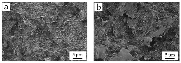 Field emission scanning electron microscopy (FESEM) images at 2000× of the fracture surfaces of (a) neat BioHDPE, and (b) BioHDPE/PE-g-MA blend.