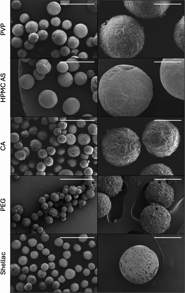 SEM images of spray freeze dried spheres in a resin: excipient ratio of 25:75, scale bars represent 1 mm (left panel) and 200 μm (right panel)