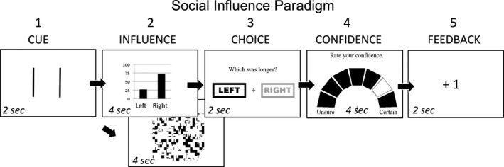 Schematic of social influence task. This task consisted of five events, described in “Methods,” which represented discrete phases of decision making. Event 1 (Cue) and Event 2 (Influence) represented evaluation; Event 3 (Choice) represented action selection; Event 4 (Confidence) represented a separate assessment of certainty about the decision selection; Event 5 (Feedback) represented evaluation of outcomes. In Event 2 (Influence), the participant could either be presented with a graph of “peer” responses (top), or a scrambled graph without peer information (bottom).