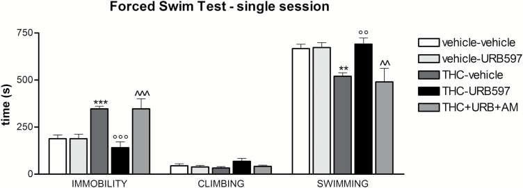 Effect of co-administration of the CB1 receptor antagonist AM251 on URB597’s positive modulation of behavior in the forced swim test. Adolescent Δ9-tetrahydrocannabinol (THC) administration significantly increased immobility and decreased swimming time during the 15-minute test session. Chronic URB597 normalized the time spent immobile and swimming when administered to THC-pretreated animals, however, co-administration of AM251 completely blocked the beneficial effect of URB597. Data are expressed as mean±SEM of n=5/10 rats/group and were analyzed by 1-way ANOVA followed by Tukey’s posthoc test. **P<.01 and ***P<.001 vs vehicle; °°P<.01 and °°°P<.001 vs THC; ^^P<.01 and ^^^P<.001 vs THC + URB597.