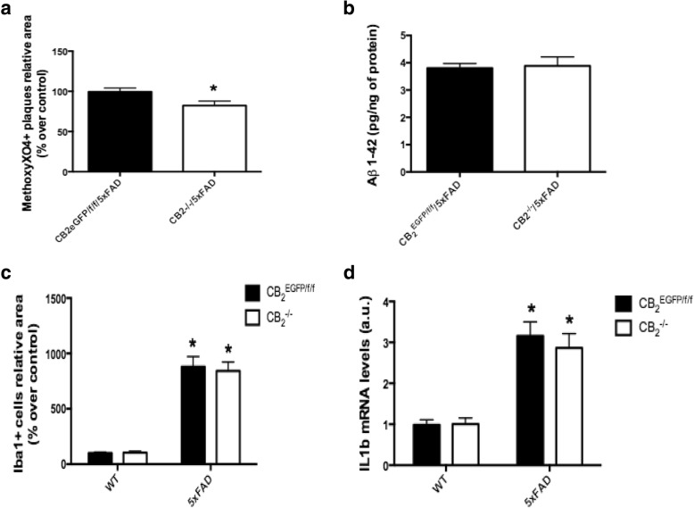 Consequences of CB2 deletion in the context of AD. The genetic inactivation of CB2 in CB2−/−/5xFAD mice led to a significant decrease in plaque density in hippocampus (a), without any changes in soluble amyloid production (b), or microgliosis (c). No changes were observed in the expression of IL1β as a consequence of gene deletion (d) in CB2−/−/5xFAD mice as compared to those in CB2EGFP/f/f/5xFAD mice. Data are expressed as mean ± SEM. *p < 0.05. Student’s t-test (a, b) and two-way ANOVA followed by Tukey’s post hoc test (c, d). N = 5 for immunofluorescence labeling measurements and N = 6 for experiments on soluble amyloid quantification and IL1β expression