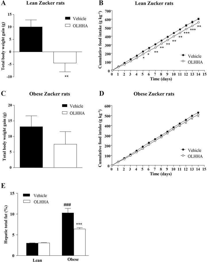 Effects of OLHHA on body weight, food intake and hepatic fat in Zucker rats. Total body weight gain (A,C), cumulative food intake (B,D) and hepatic total fat (E) were evaluated in the lean and obese rats after a 15-day exposure to vehicle or OLHHA (5 mg kg−1, daily, i.p.). The bars and points are the means±s.e.m. (n=8 rats per group). The data were analyzed using two-way ANOVA (treatment and time/genotype) and a post hoc test for multiple comparisons. *P<0.05, **P<0.01 and ***P<0.001 denote significant differences compared with the vehicle-treated rats. ###P<0.001 denotes significant difference compared with the vehicle-treated lean rats.